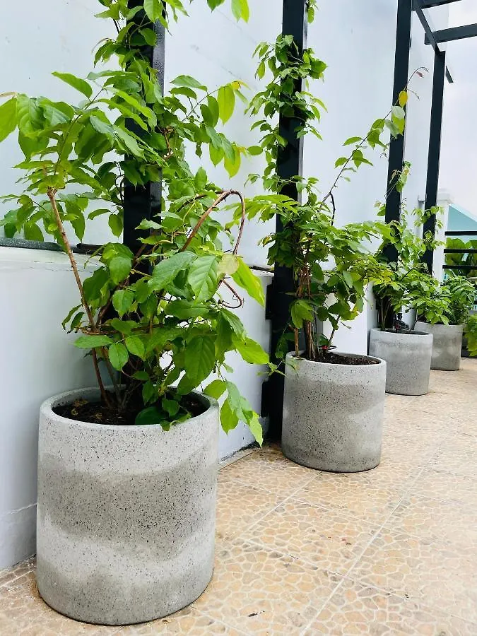 The House Of Aviators Apartment Ho Chi Minh City Vietnam